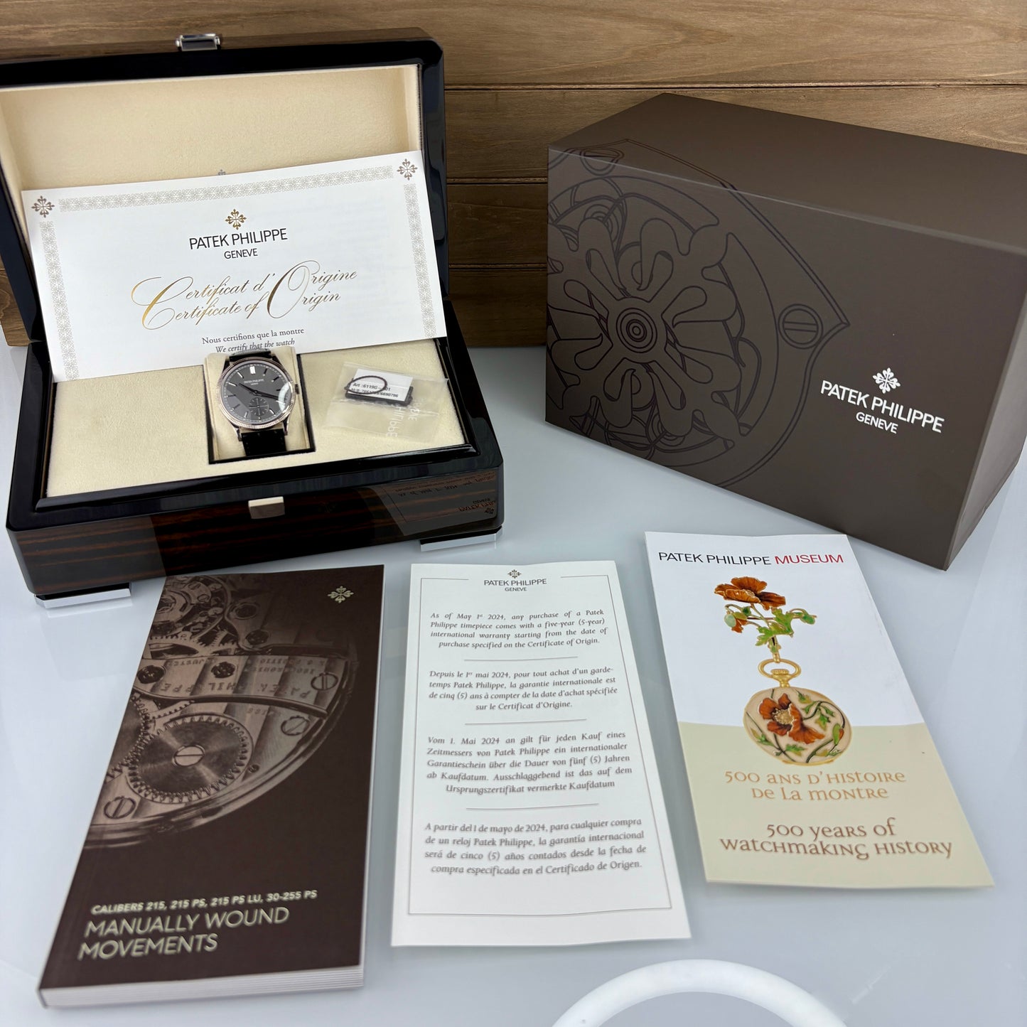 Patek Philippe Calatrava 6119G-001 – White Gold | 2025 Full Set | Brand New