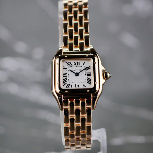 Cartier Panthère de Cartier – Small - Brand New - 2026 - WGPN0060